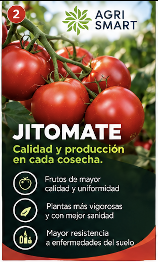 Jitomate: calidad y producción en cada cosecha