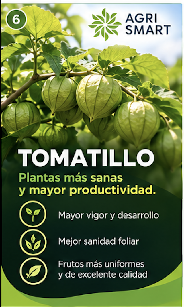 Tomatillo: plantas más sanas y mayor productividad