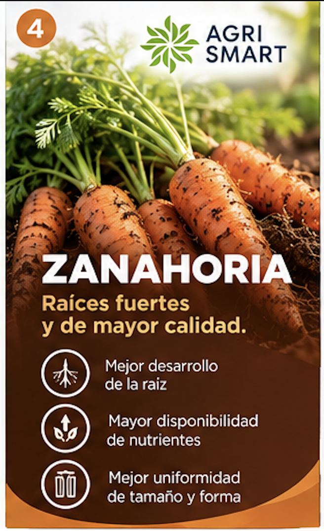 Zanahoria: raíces fuertes y de mayor calidad