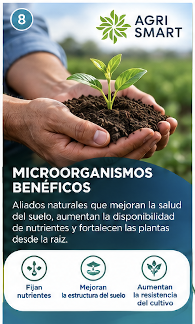 Microorganismos benéficos